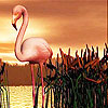 Alone flamingo slide puzzle