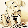 Alone spotted dog slide puzzle