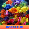 Bright fish 5 Differences