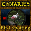 Canaries in a coalmine – Bird Spotting