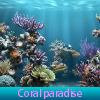 Coral paradise