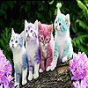 Cute kittens slide puzzle