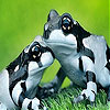Dappled frogs slide puzzle