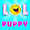 Funny Cute Puppies