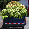 Jigsaw: Banana Truck