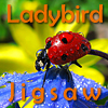 Ladybird Jigsaw