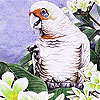 Alone parrot and flowers slide puzzle