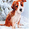 Red dog in the snow slide puzzle