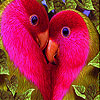 Two lovebirds slide puzzle