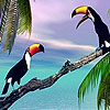 Two toucan in the sea slide puzzle