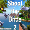 Nea's - Shoot the Birds 2