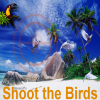 Nea’s – Shoot the Birds