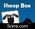 Sheep Box