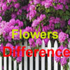 Spot Difference - Flowers