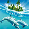 Three dolphins puzzle