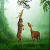 Deers in the forest slide puzzle