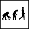 Human evolution