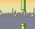 Pipes and Birds